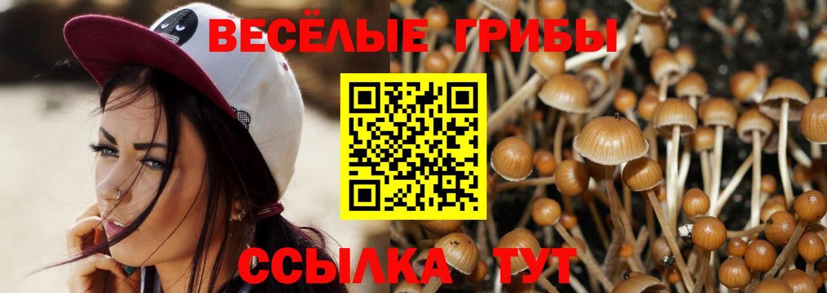 Михайловск  Галлюциногенные грибы ЛСД  купить наркотики сайты  Вход с VPN  Галлюциногенные грибы Psilocybine cubensis 